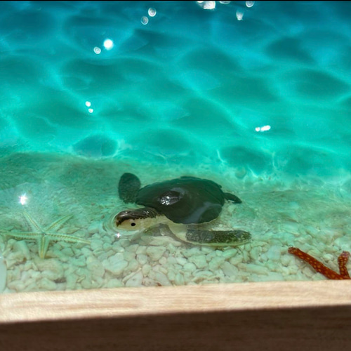 波紋木製トレー ホヌ付き レジンアート 約13.9×21.9×2cm オーシャン