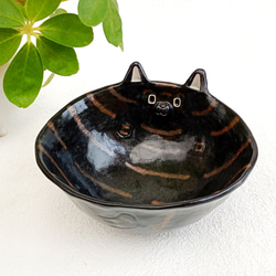 甲斐犬飯碗  楽しい動物の陶器　受注製作 4枚目の画像