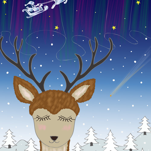まめたろう　クリスマスの夜　シーグラス／フレームアート／サンタ／トナカイ まめたろう様専用 クリスマスの夜 シーグラス／フレームアート