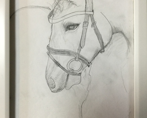 cddd1dfe0168f02e3825620fe48e89