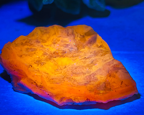 7001d89ad3f41ca5ec8ec288c50d0c