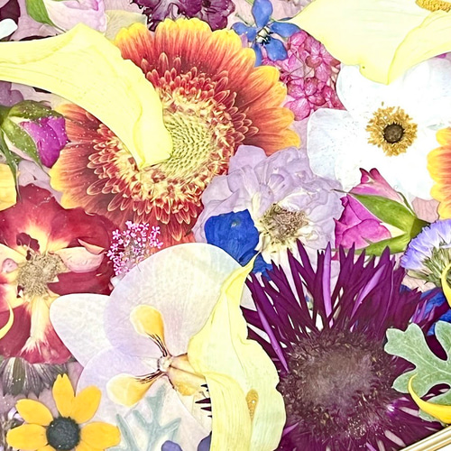 絵画のような華やか押し花アート額 その他インテリア雑貨 神戸