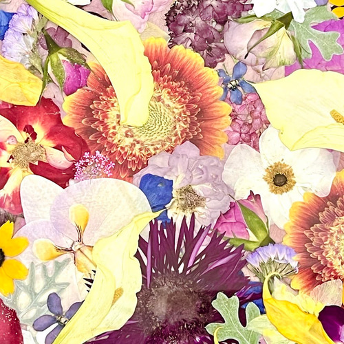 絵画のような華やか押し花アート額 その他インテリア雑貨 神戸