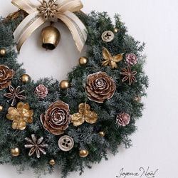 クリスマスリース(1522)～Joyeux Noël～ 37cm リース AJU PLANTS