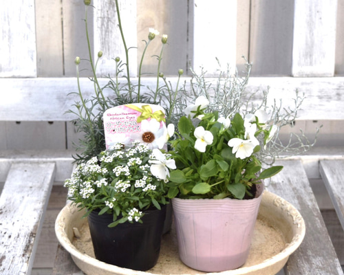 942268d549d637fddca1ac6b38101b