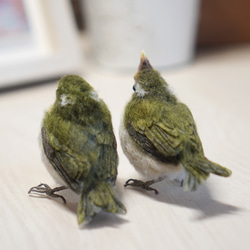 ＊野鳥＊羊毛フェルト メジロの雛(2羽セット) 3枚目の画像