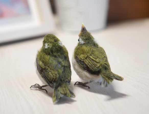 ＊野鳥＊羊毛フェルト メジロの雛(2羽セット) 3枚目の画像
