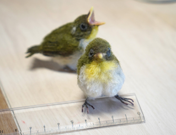 ＊野鳥＊羊毛フェルト メジロの雛(2羽セット) 2枚目の画像