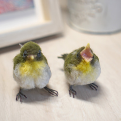 ＊野鳥＊羊毛フェルト メジロの雛(2羽セット) 5枚目の画像