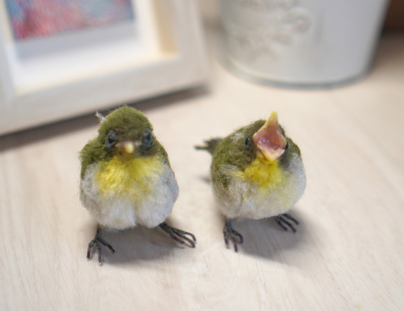 ＊野鳥＊羊毛フェルト メジロの雛(2羽セット) 5枚目の画像
