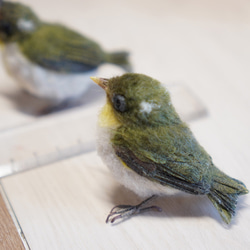 ＊野鳥＊羊毛フェルト メジロの雛(2羽セット) 6枚目の画像