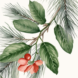 アートポスター ホリデーリース 北欧風 クリスマス ボタニカルリース 癒しのグリーン 冬インテリア 6066 2枚目の画像