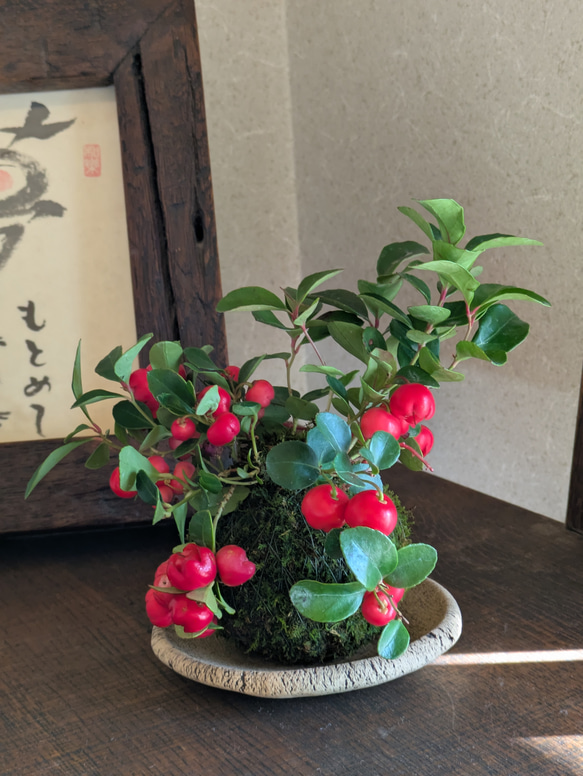 りこ。さま】* vintage mini ornament ❀ 丸い 赤い実 【公式通販】