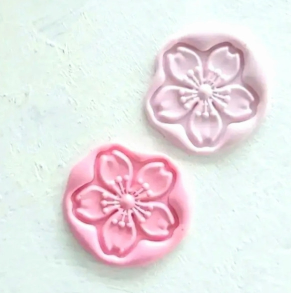  第5張的照片