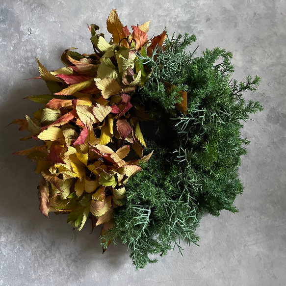 薩摩杉＆ベビーハンズのharf&harfリース リース papaver 通販