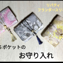 サマーポインセチア(ФωФ)ネコポス 抜き苗 50苗以上 サマーポインセチア(ФωФ)ネコポス 抜き苗 50苗以上