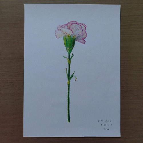 色鉛筆画の花のスケッチ一式 15枚 絵画 えみ 通販 18519730｜Creema