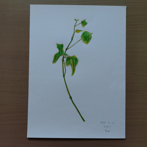 油絵「花のスケッチ」 楽天市場】絵画 油絵 花バラ F30号 （春野修一） 送料無料