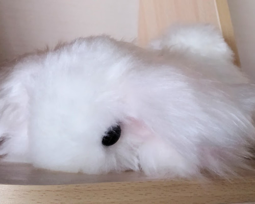 a02330d33509c098e4b21b0d20adfd