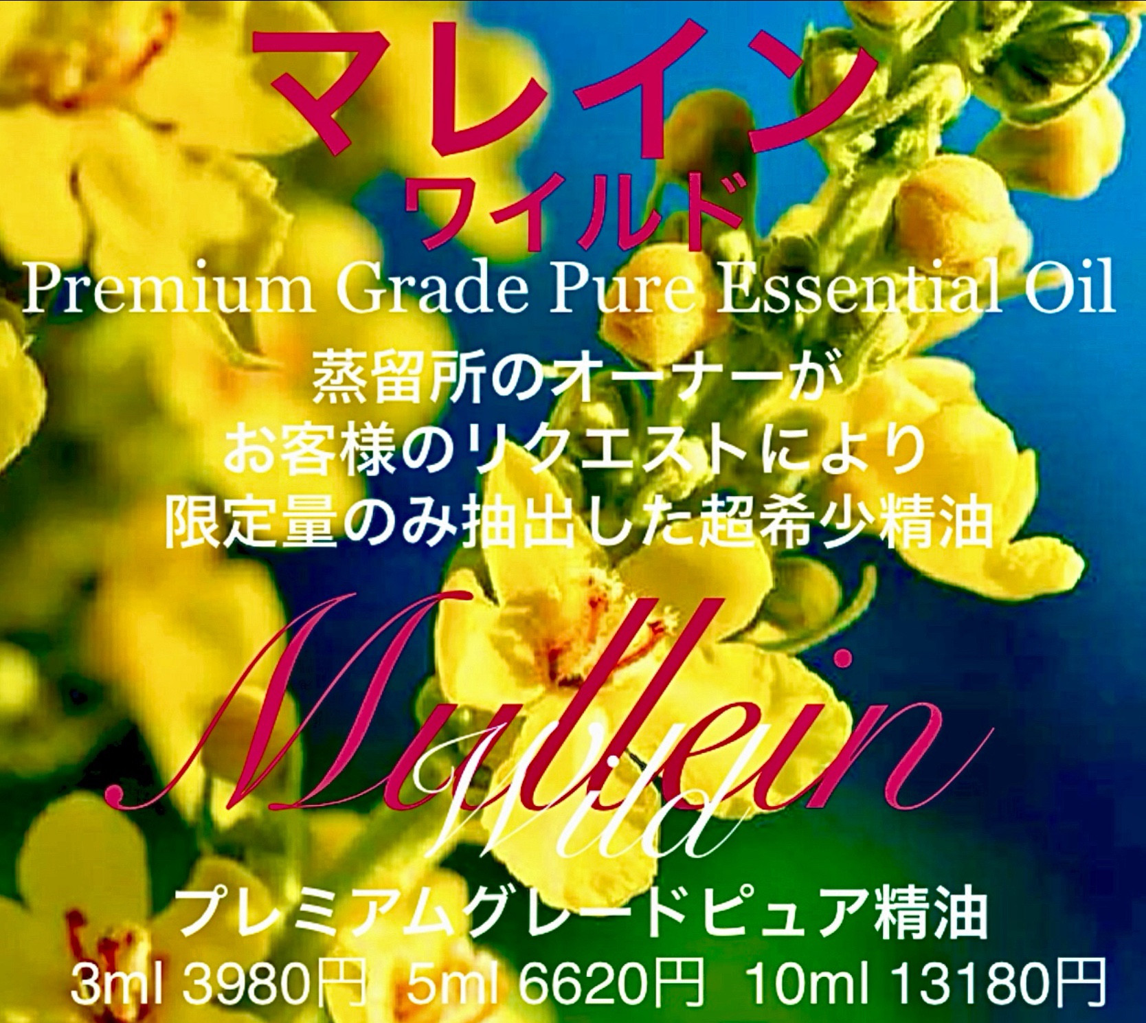 ☆超希少☆マレイン精油10ml
