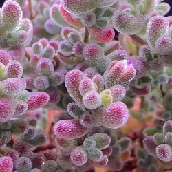 b047bdb3ef065c3eb6c34098f68090