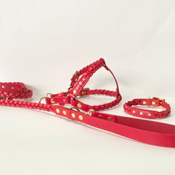 リード＆ハーネス2点セット‼️ RED＆ヌメ リード＆ハーネス2点セット‼️