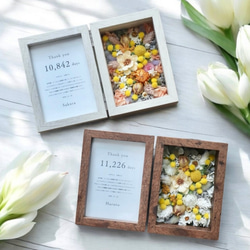 子育て感謝状 両親贈呈品｜ミモザが彩るフォトフレーム（プリザーブド・ドライフラワー／2色展開）結婚式・ウェディング 1枚目の画像