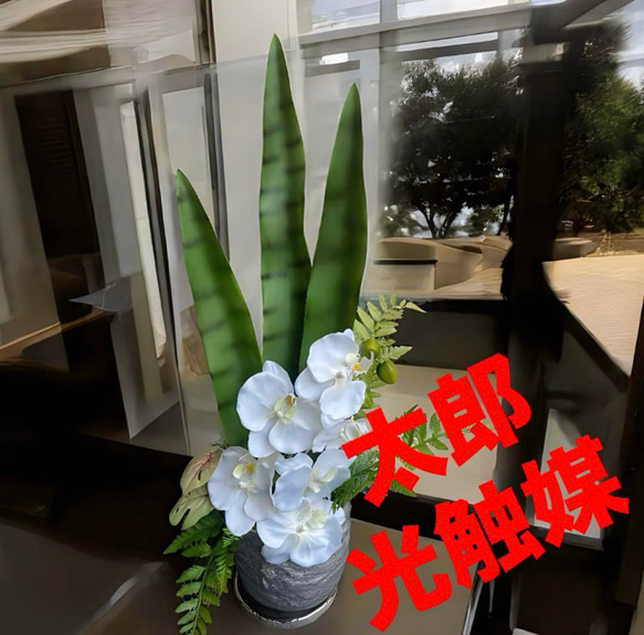光触媒 人工観葉植物 ウォールグリーン フェイクグリーン 胡蝶蘭 光触媒 人工観葉植物 ウォールグリーン フェイクグリーン 胡蝶蘭