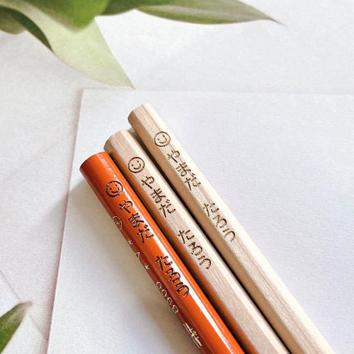名入れ2B鉛筆+赤鉛筆セット】 3本組 選べる文字種類イラスト 入学祝い