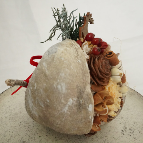 幸せを呼ぶ実ブッダナッツ✳︎Christmas2024 冬ギフト ドライフラワー