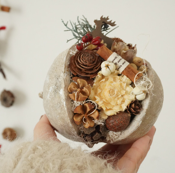 幸せを呼ぶ実 【ブッダナッツ】オーダーページ 幸せを呼ぶ実ブッダナッツ✳︎Christmas2024 冬ギフト ドライ