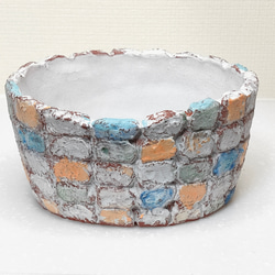 紫水晶 パープルクリスタル エケベリア 多肉植物 抜き苗 紫水晶 パープルクリスタル エケベリア 多肉植物 抜き苗