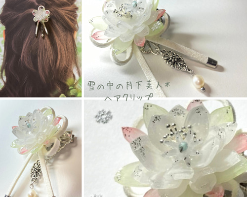 開花株 蕾付き10年物の大株】月下美人 No.1 開花