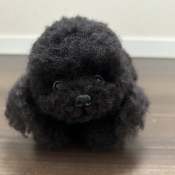 トイプードル 羊毛フェルト のおすすめ人気通販｜Creema(クリーマ