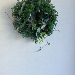 ドライフラワー 山芋の花殻とタンキリマメと山葡萄のつるの長い