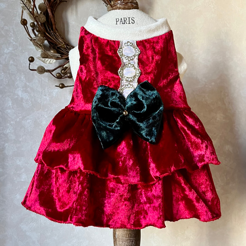 カラフルクラッシュの服