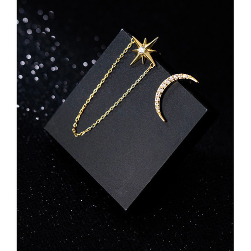 星と月モチーフのシルバーピアス シルバーs925星⭐️と月様ピアスG73470196 ピアス（フック