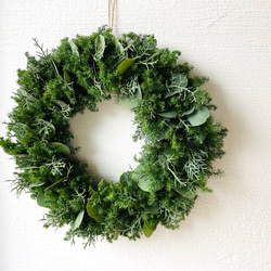 受注制作】森の針葉樹のクリスマスリース♪ 〜LLサイズ〜 リース Dans