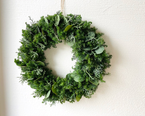 針葉樹のクリスマスリース 楽天市場】針葉樹 リースの通販