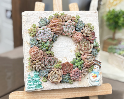 マロン様確認用　そのまま飾れる多肉植物寄せ植え　リース　管理書付 そのまま飾れる寄せ植えボードリース 多肉植物 ba-boo house