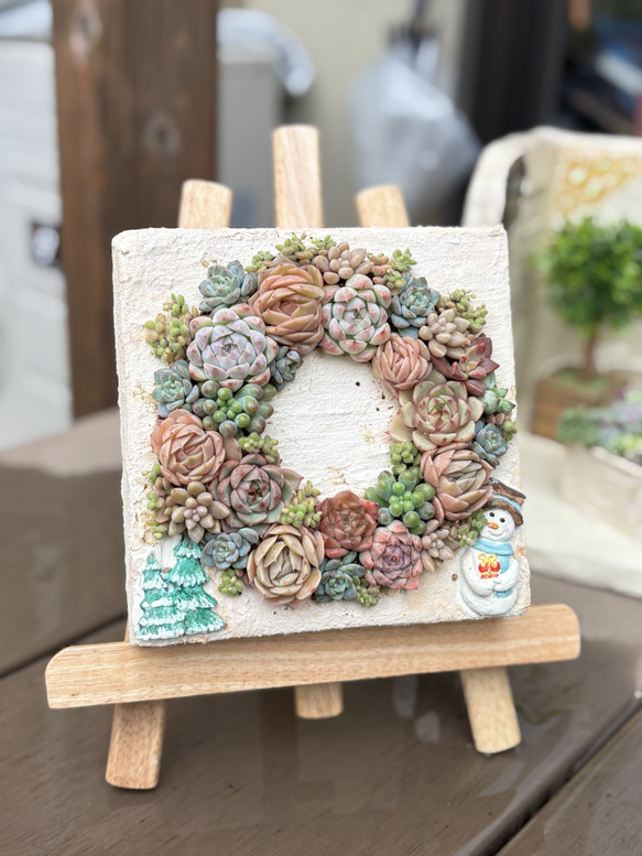 そのまま飾れる寄せ植えボードリース 多肉植物 ba-boo house 通販