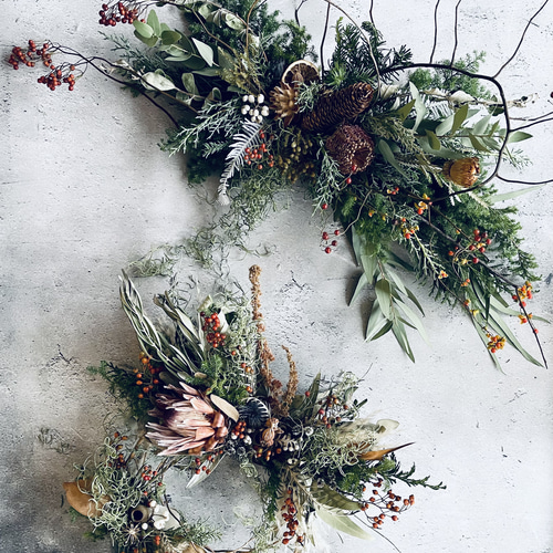 クリスマスSALE5000円→4000円 プロテアリース ギフト お祝い 新居祝い