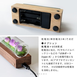 DIOLAMP -ジオランプ-　鉱石輝く草原　ミニチュア 天然石 6枚目の画像