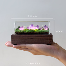 DIOLAMP -ジオランプ-　鉱石輝く草原　ミニチュア 天然石 2枚目の画像