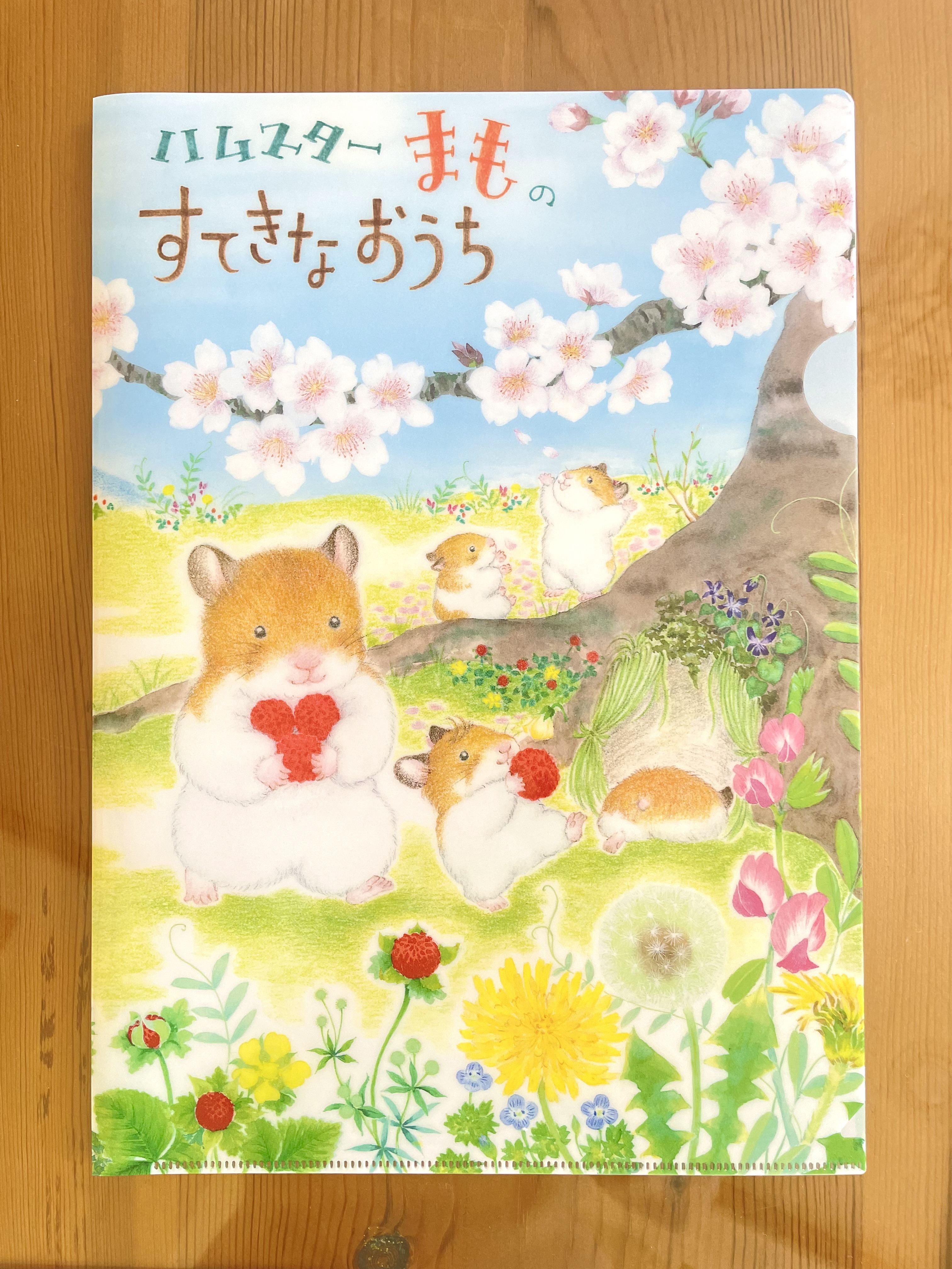 絵本 45冊セット まとめて 動物好きなお子様に 絵本セット だるまさんシリーズ どうぶついろいろかくれんぼ