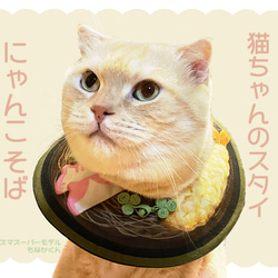 猫ちゃんのスタイ】お好み焼き ペット服・アクセサリー けまみRe 通販