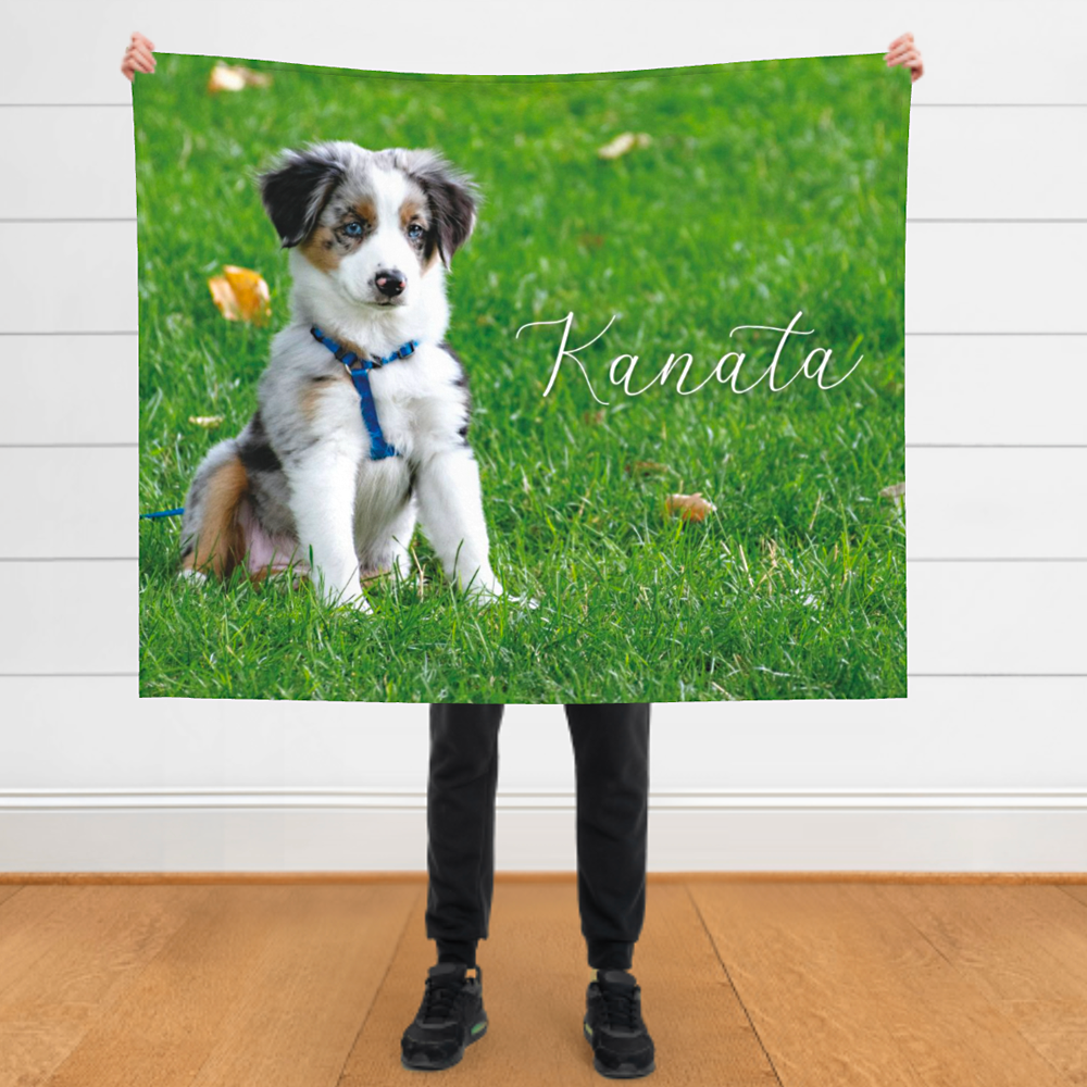 ペット写真入りブランケット　うちの子の名前入りブランケット　オリジナルペットグッズ　犬猫　誕生日プレゼント
