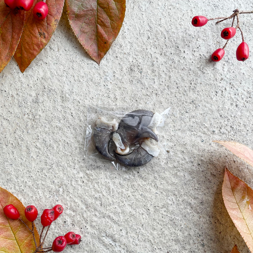 手芸素材 くまの爪 ⑤小 その他素材 くまさんち 通販 18534130｜Creema