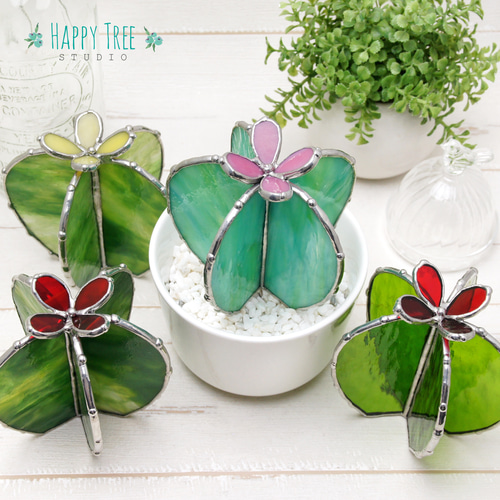 ステンドグラス 癒しの多肉植物 水やりなしで年中キレイ サボテン 赤い