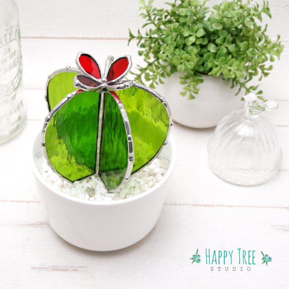 多肉植物 グレーと赤のグラデーション*8 多肉植物 グレーと赤の